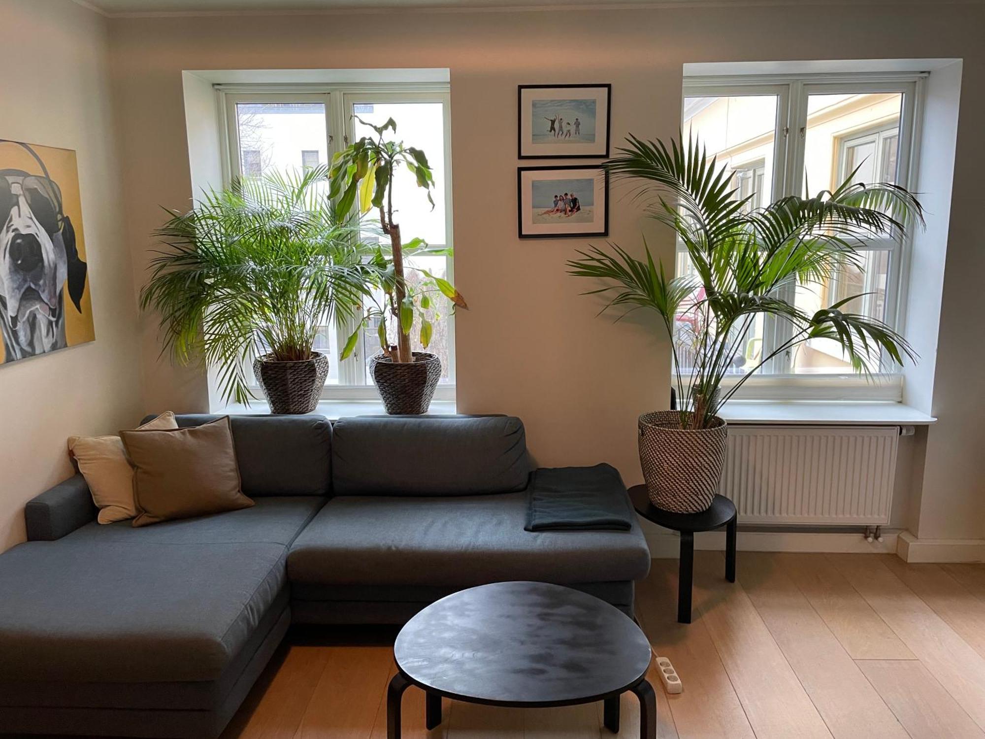 Appartamento Stroken Loftleilighet Midt I Oslo. *